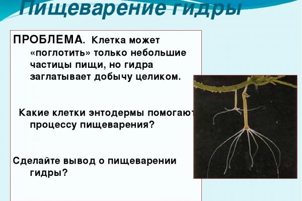 Кракен дарк ссылка