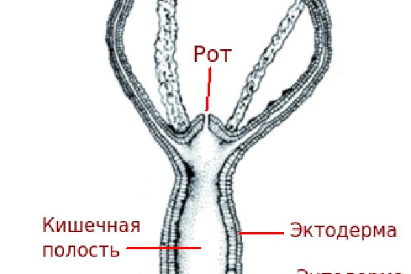 Даркнет каталог